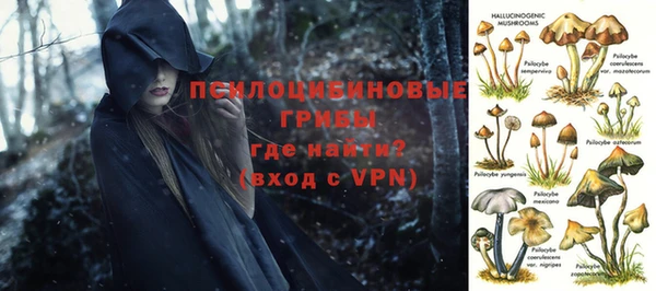 эйфоретик Балахна