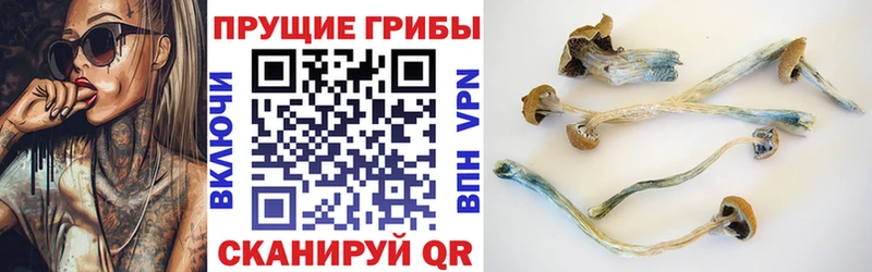 купить цена Маркс Галлюциногенные грибы мухоморы